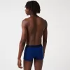 3-Pack Print Trunks