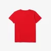 BOY TEE-SHIRT & TURTLE NECK SHT