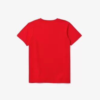 BOY TEE-SHIRT & TURTLE NECK SHT