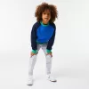 Drenge Lacoste mærket farveblok sweatshirt Drenge Lacoste mærket farveblok sweatshirt