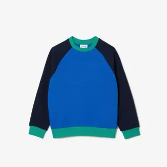Drenge Lacoste mærket farveblok sweatshirt