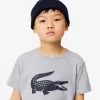 Lacoste SPORT teknisk tennistrøje til børn Oversized Croc T-shirt