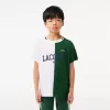 Lacoste Tennis x Daniil Medvedev T-shirt i bomuld