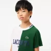 Lacoste Tennis x Daniil Medvedev T-shirt i bomuld