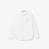 Lacoste stribet print Oxford bomuldsskjorte til børn