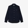 Regular Fit bomuldsskjorte