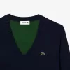 Sweater med V-hals i bomuld