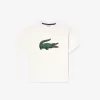 T-shirt i bomuld med grafisk tryk