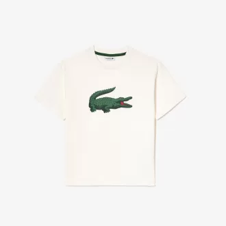 T-shirt i bomuld med grafisk tryk
