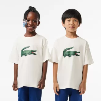 T-shirt i bomuld med grafisk tryk
