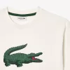 T-shirt i bomuld med grafisk tryk