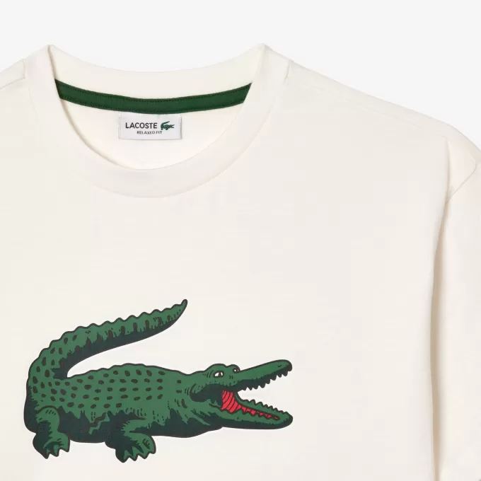 T-shirt i bomuld med grafisk tryk