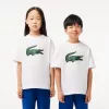 T-shirt i bomuld med krokodilletryk