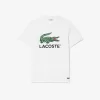 T-shirt i bomuld med signaturtryk