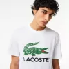 T-shirt i bomuld med signaturtryk