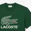 T-shirt i bomuld med signaturtryk