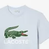 T-shirt i bomuld med signaturtryk