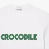 T-shirt i bomuld med tryk