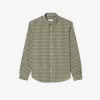 Ternet Poplin skjorte